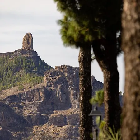Casa Isabela With Roque Nublo View Lejlighed